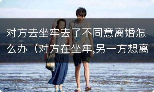 对方去坐牢去了不同意离婚怎么办（对方在坐牢,另一方想离婚,该怎么办）