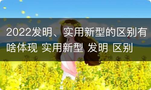 2022发明、实用新型的区别有啥体现 实用新型 发明 区别