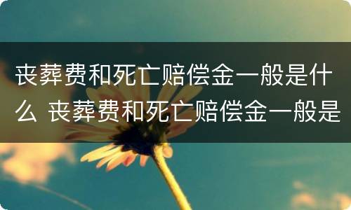 丧葬费和死亡赔偿金一般是什么 丧葬费和死亡赔偿金一般是什么时候发放