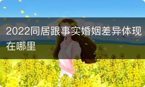 2022同居跟事实婚姻差异体现在哪里