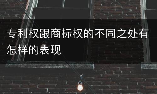 专利权跟商标权的不同之处有怎样的表现