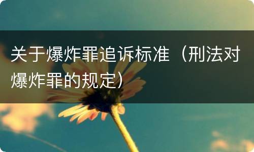 关于爆炸罪追诉标准（刑法对爆炸罪的规定）