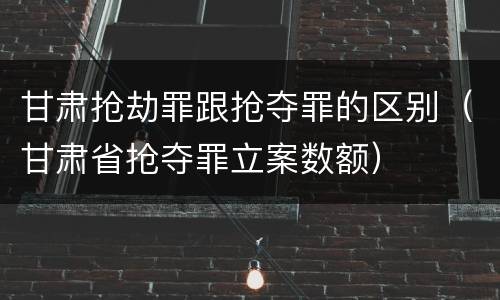 甘肃抢劫罪跟抢夺罪的区别（甘肃省抢夺罪立案数额）
