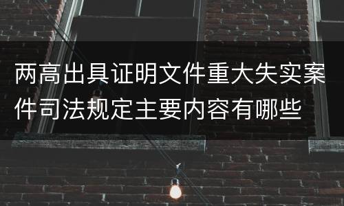 两高出具证明文件重大失实案件司法规定主要内容有哪些