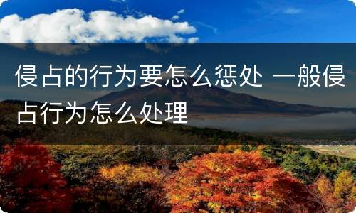 侵占的行为要怎么惩处 一般侵占行为怎么处理