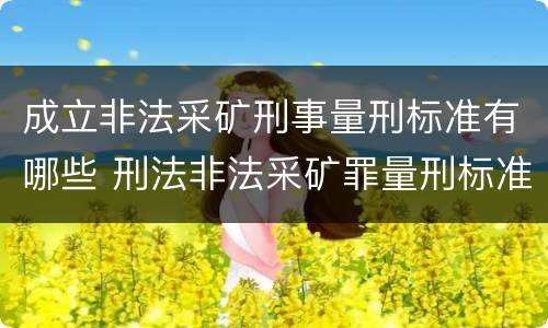 成立非法采矿刑事量刑标准有哪些 刑法非法采矿罪量刑标准
