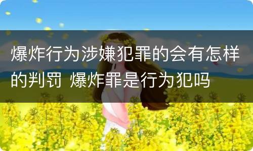 爆炸行为涉嫌犯罪的会有怎样的判罚 爆炸罪是行为犯吗