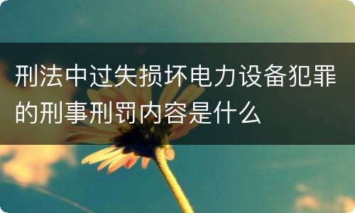 刑法中过失损坏电力设备犯罪的刑事刑罚内容是什么