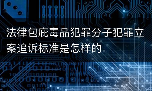 法律包庇毒品犯罪分子犯罪立案追诉标准是怎样的