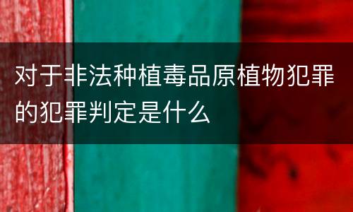 对于非法种植毒品原植物犯罪的犯罪判定是什么