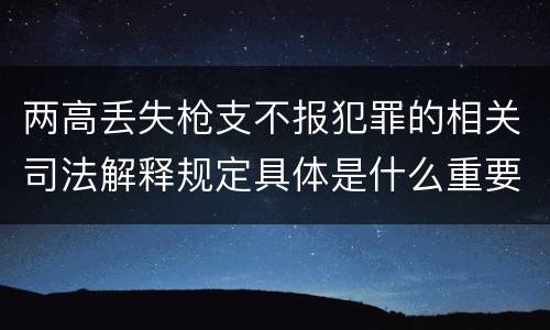 两高丢失枪支不报犯罪的相关司法解释规定具体是什么重要内容