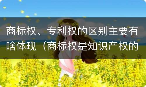 商标权、专利权的区别主要有啥体现（商标权是知识产权的一种吗）