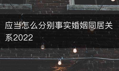 应当怎么分别事实婚姻同居关系2022