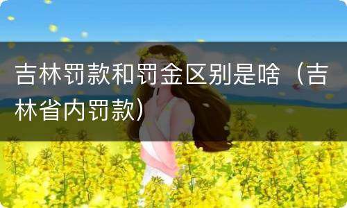 吉林罚款和罚金区别是啥（吉林省内罚款）