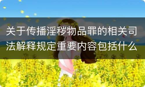 关于传播淫秽物品罪的相关司法解释规定重要内容包括什么