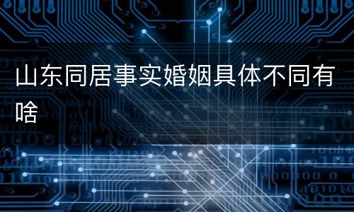 山东同居事实婚姻具体不同有啥