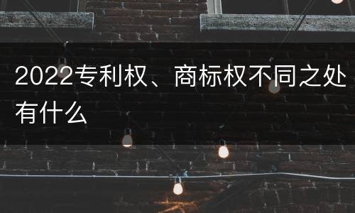 2022专利权、商标权不同之处有什么