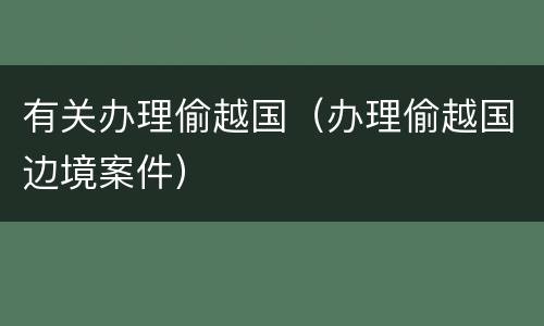 有关办理偷越国（办理偷越国边境案件）