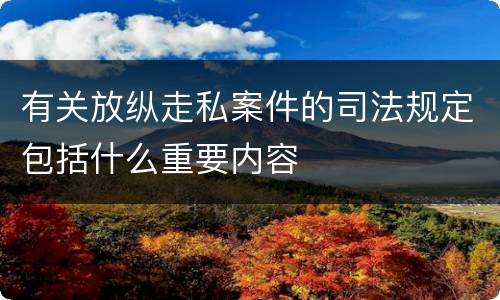 有关放纵走私案件的司法规定包括什么重要内容