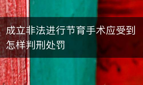 成立非法进行节育手术应受到怎样判刑处罚