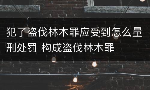 犯了盗伐林木罪应受到怎么量刑处罚 构成盗伐林木罪
