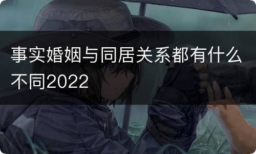 事实婚姻与同居关系都有什么不同2022