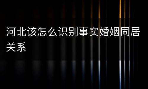 河北该怎么识别事实婚姻同居关系