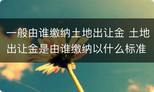 一般由谁缴纳土地出让金 土地出让金是由谁缴纳以什么标准收