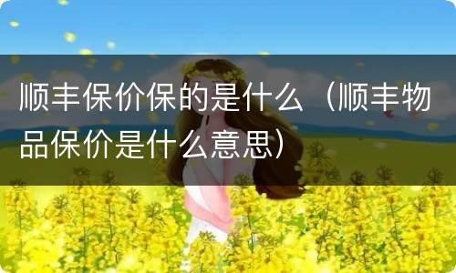 顺丰保价保的是什么（顺丰物品保价是什么意思）