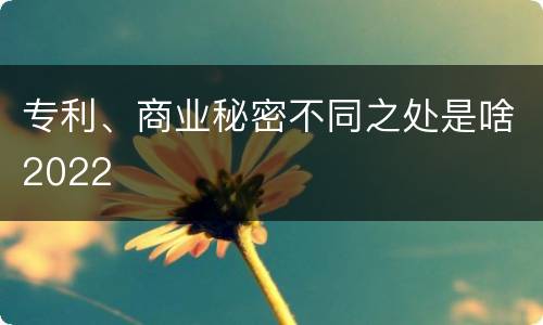 专利、商业秘密不同之处是啥2022