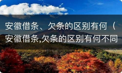 安徽借条、欠条的区别有何（安徽借条,欠条的区别有何不同）