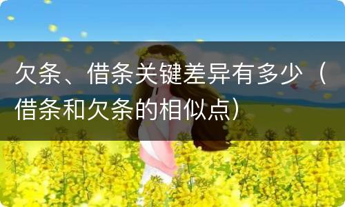 欠条、借条关键差异有多少（借条和欠条的相似点）