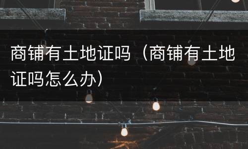商铺有土地证吗（商铺有土地证吗怎么办）