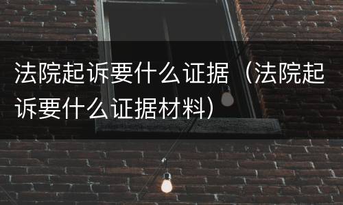 法院起诉要什么证据（法院起诉要什么证据材料）