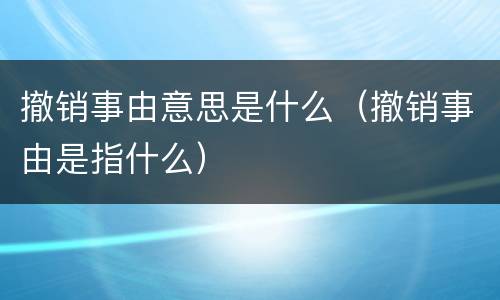 撤销事由意思是什么（撤销事由是指什么）