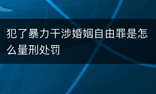 犯了暴力干涉婚姻自由罪是怎么量刑处罚
