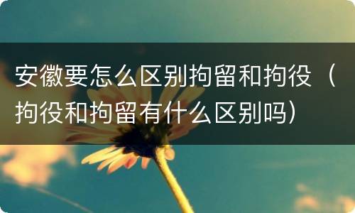 安徽要怎么区别拘留和拘役（拘役和拘留有什么区别吗）