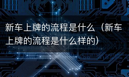 新车上牌的流程是什么（新车上牌的流程是什么样的）
