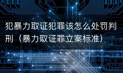 犯暴力取证犯罪该怎么处罚判刑（暴力取证罪立案标准）