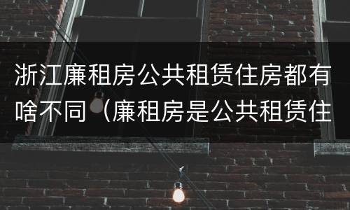 浙江廉租房公共租赁住房都有啥不同（廉租房是公共租赁住房吗）