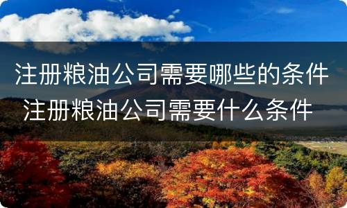 注册粮油公司需要哪些的条件 注册粮油公司需要什么条件
