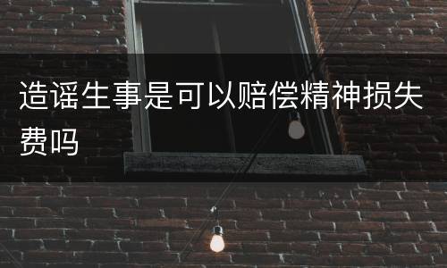 造谣生事是可以赔偿精神损失费吗