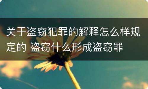关于盗窃犯罪的解释怎么样规定的 盗窃什么形成盗窃罪