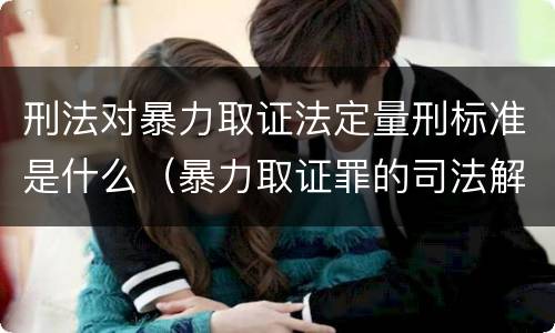 刑法对暴力取证法定量刑标准是什么（暴力取证罪的司法解释）