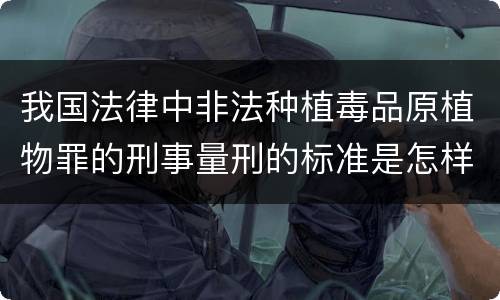 我国法律中非法种植毒品原植物罪的刑事量刑的标准是怎样的