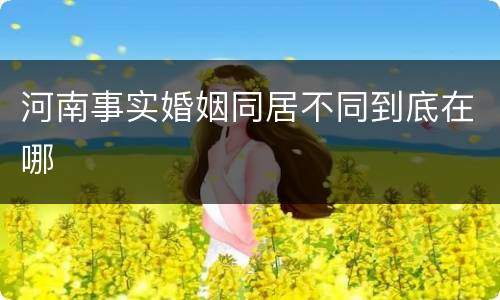河南事实婚姻同居不同到底在哪