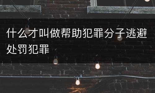 什么才叫做帮助犯罪分子逃避处罚犯罪