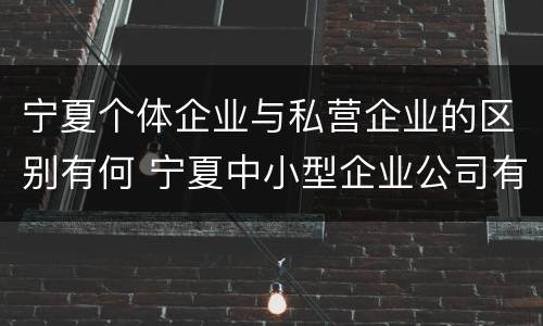 宁夏个体企业与私营企业的区别有何 宁夏中小型企业公司有哪些