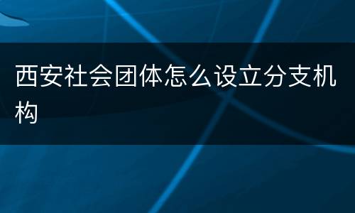 西安社会团体怎么设立分支机构