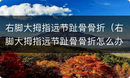 右脚大拇指远节趾骨骨折（右脚大拇指远节趾骨骨折怎么办）